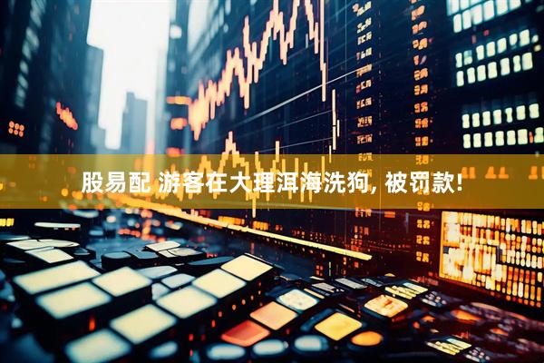 股易配 游客在大理洱海洗狗, 被罚款!