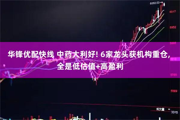 华锋优配快线 中药大利好! 6家龙头获机构重仓, 全是低估值+高盈利
