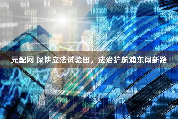 元配网 深耕立法试验田，法治护航浦东闯新路