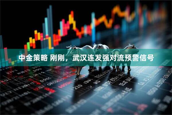 中金策略 刚刚,武汉连发强对流预警信号