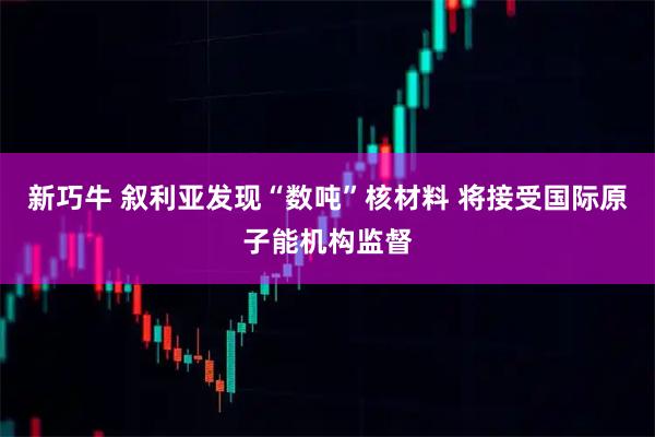 新巧牛 叙利亚发现“数吨”核材料 将接受国际原子能机构监督