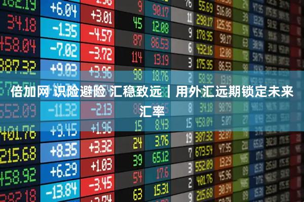 倍加网 识险避险 汇稳致远｜用外汇远期锁定未来汇率