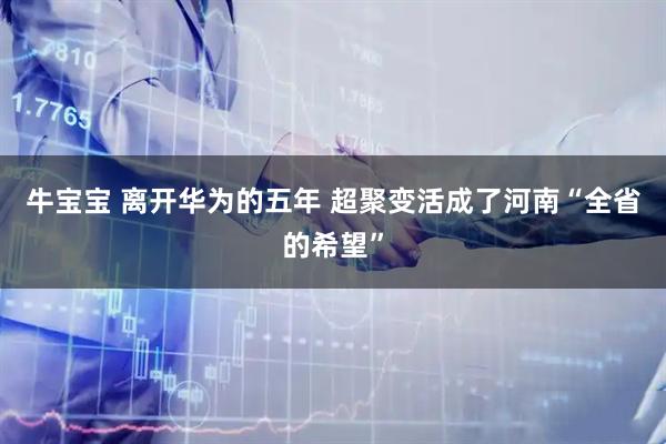 牛宝宝 离开华为的五年 超聚变活成了河南“全省的希望”
